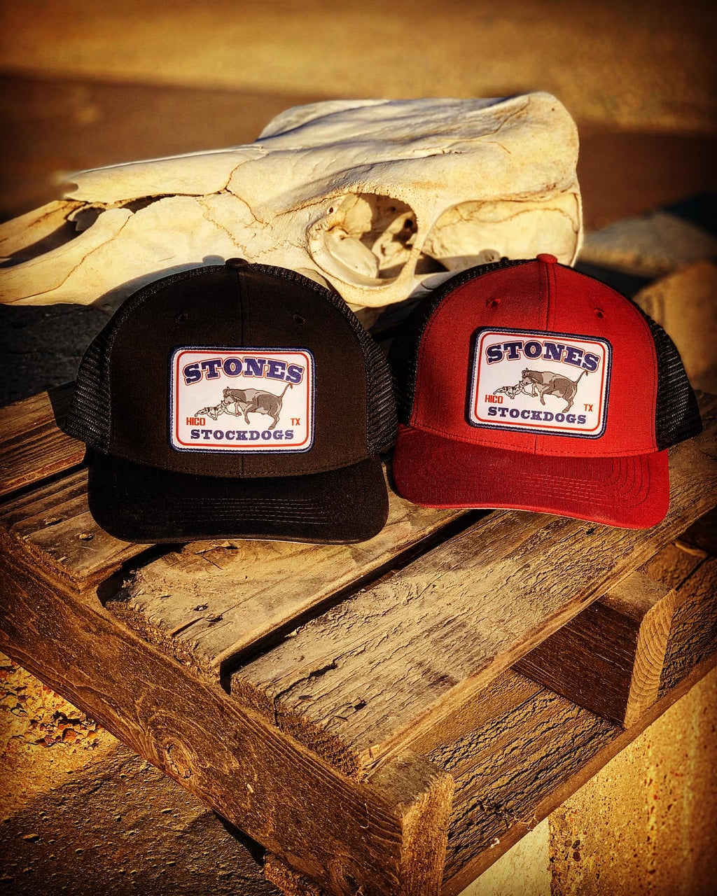 Stones Stockdogs Cap